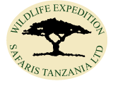 Widlife Expedition and Safaris (T) ltd