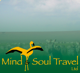 Mind & Soul Travel Ltd