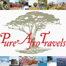 Pure Afro Travels