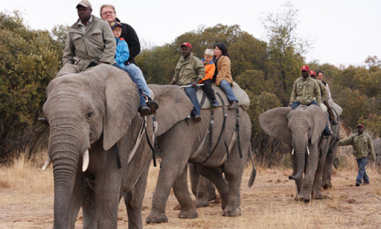 Tanzania Tour Operators Association Tato Tanzania Tour Operators Association Tato