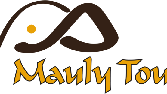 MAULY TOURS & SAFARIS