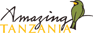 Amazing Tanzania Ltd