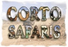 CORTO SAFARIS Ltd