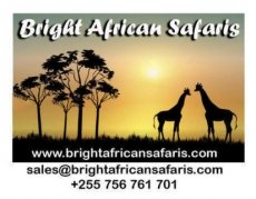 Bright African Safaris