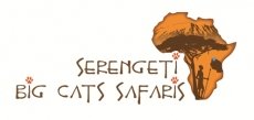 Serengeti Big Cats Safaris Ltd