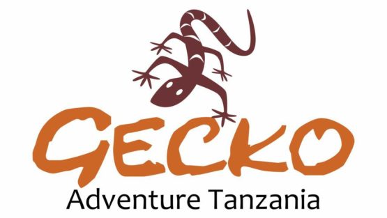 Gecko Adventure Tanzania