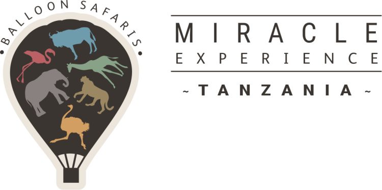 Miracle Experience