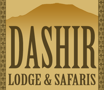 Dashir Lodge & Safaris