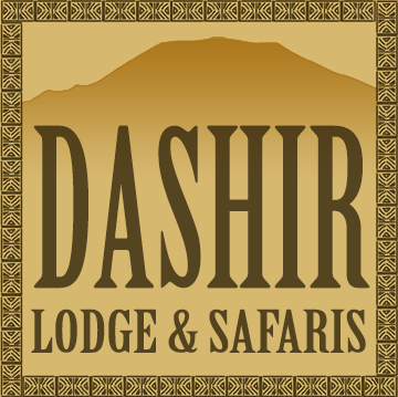 Dashir Lodge & Safaris
