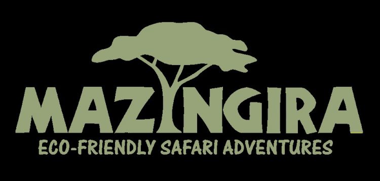 MAZINGIRA ECO-FRIENDLY SAFARI ADVENTURES (Local Safari Guide Promotion)
