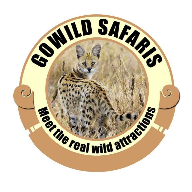 GOWILD SAFARIS