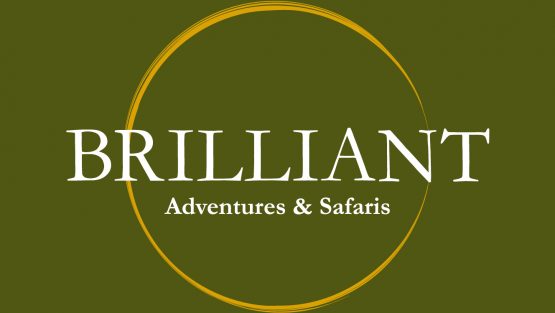 BRILLIANT ADVENTURES AND SAFARIS