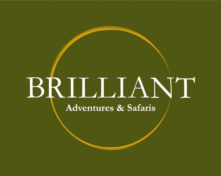 BRILLIANT ADVENTURES AND SAFARIS