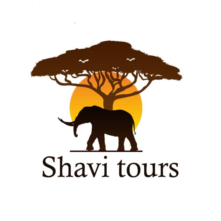 SHAVI TOURS