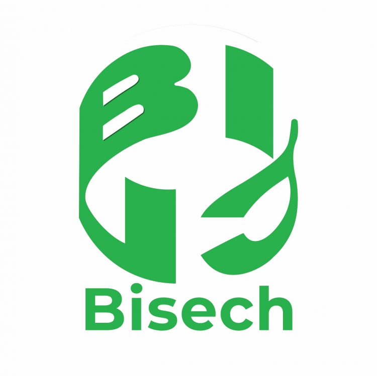 BISECH INVESTMENTS COMPANY LIMITED