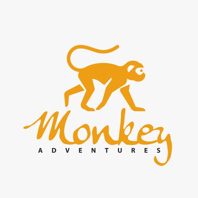 Monkey Adventures