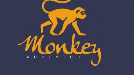 Monkey Adventures