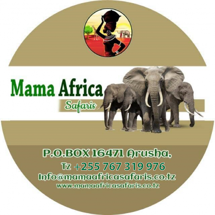 Mama Africa Safaris