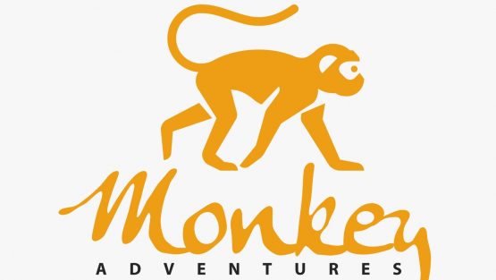 Monkey Advenutres