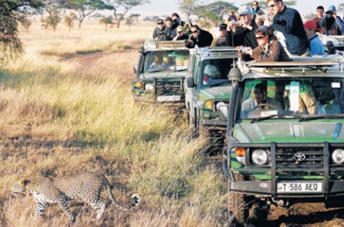 Tanzania records 25pc increase in tourist arrivals
