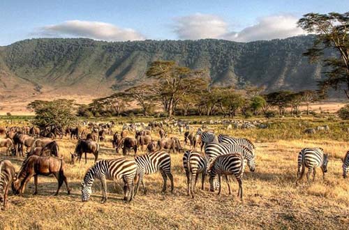 Serengeti in dire need of more accommodation properties