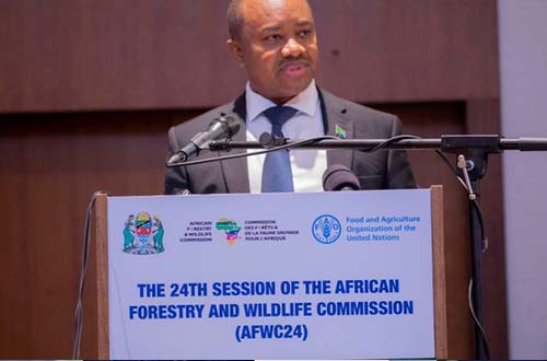 Tanzania chairs African Wildlife Commission