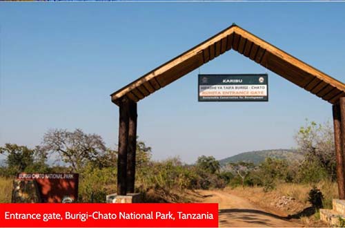 Burigi-Chato to restore its rhino population
