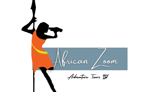 AFRICANZOOM SAFARIS