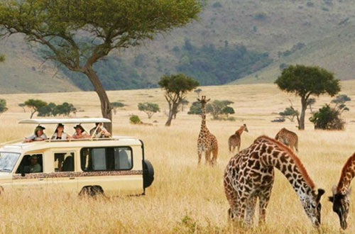 Tourism grows swiftly as economy steams ahead