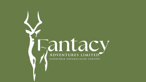 FANTASY ADVENTURES LIMITED