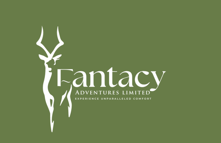 FANTASY ADVENTURES LIMITED