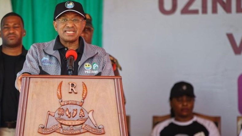 Zanzibar President Mwinyi calls for use of Kizimkazi festival to uncover investment opportunities