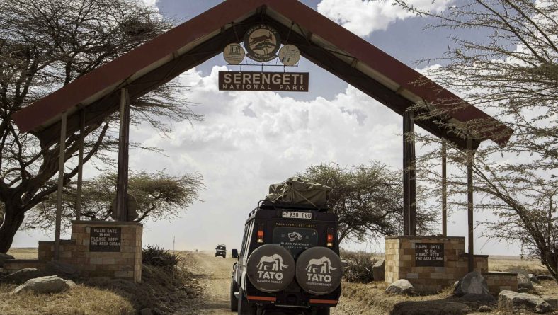 Tanzania National Parks: A Jewel of Africa’s Wildlife and Tourism